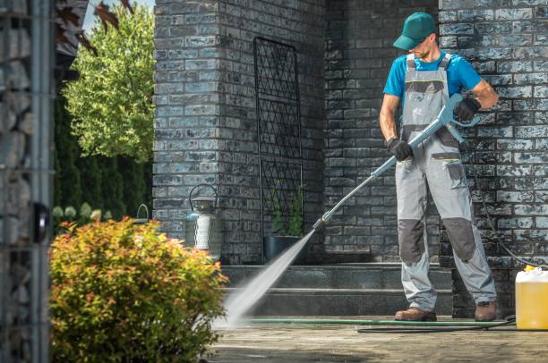 Best Solar Panel Cleaning  in Newark, TX