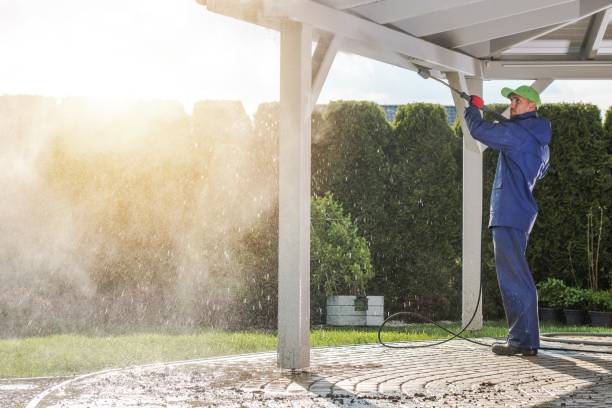 Best Roof Washing  in Newark, TX